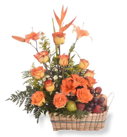 Base Canasta de Frutas