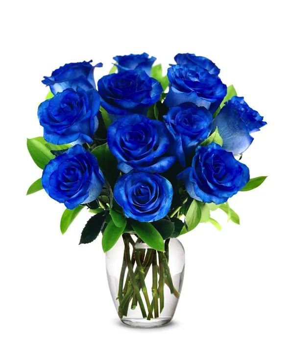 Blue Roses