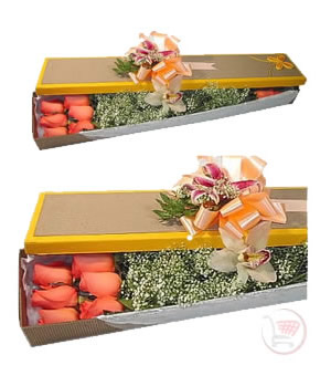 Sueños en Caja