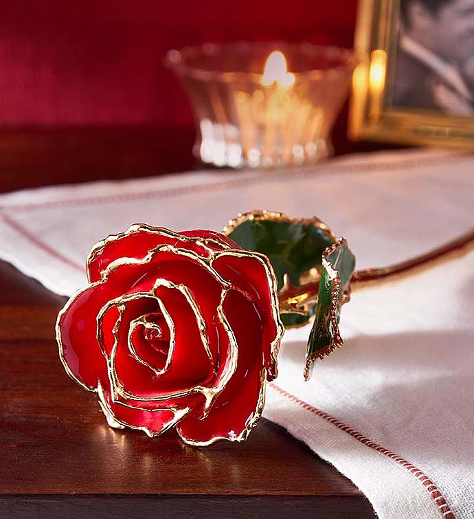 Rosa para Siempre 24K