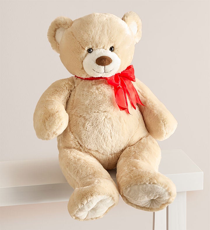 Lotsa Love® Big Bear™ for Birthday