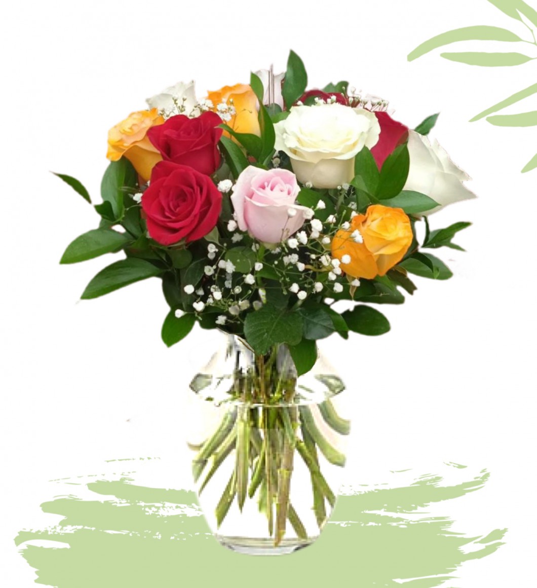 Multicolor roses