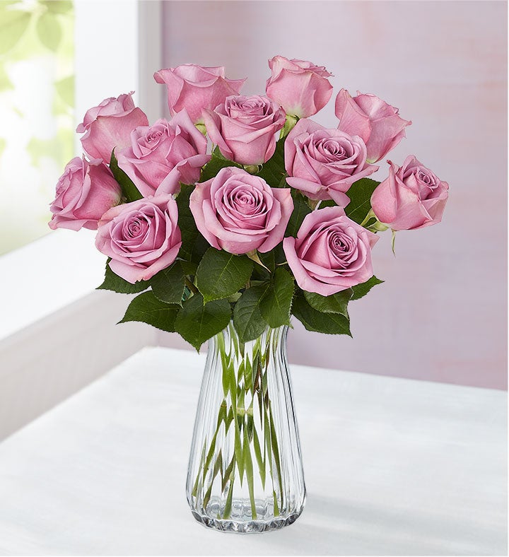 Rosas Pasion Purpura
