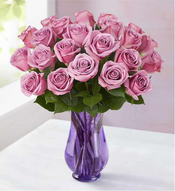 Rosas Pasion Purpura