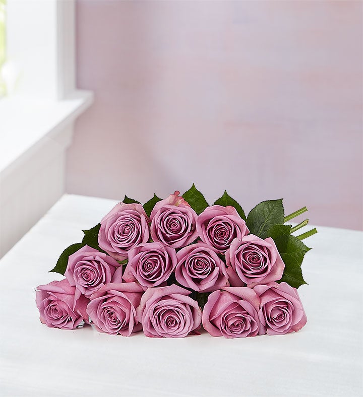 Rosas Pasion Purpura