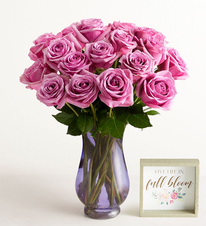 Passion For Purple Roses