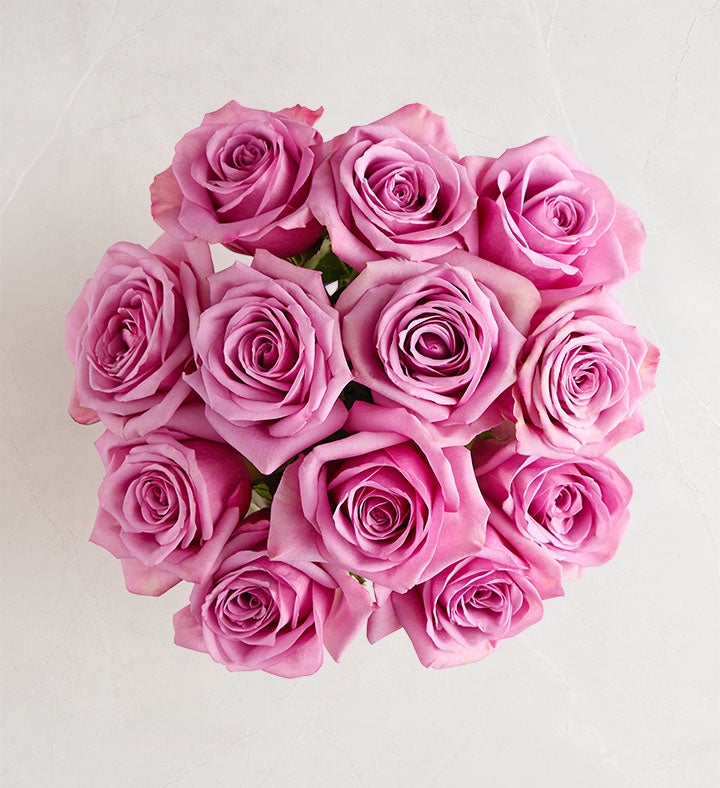 Passion For Purple Roses