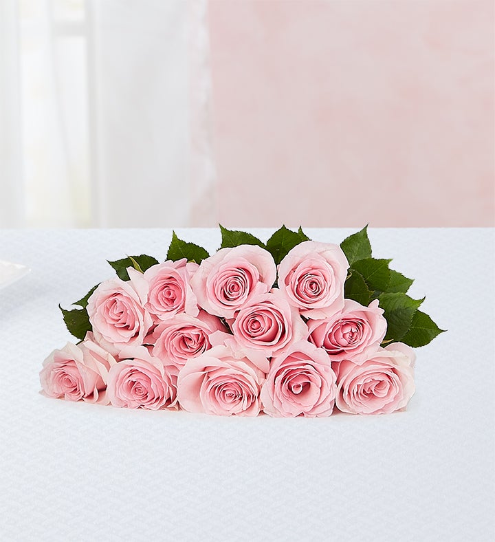 Rosas de Petalos Rosados