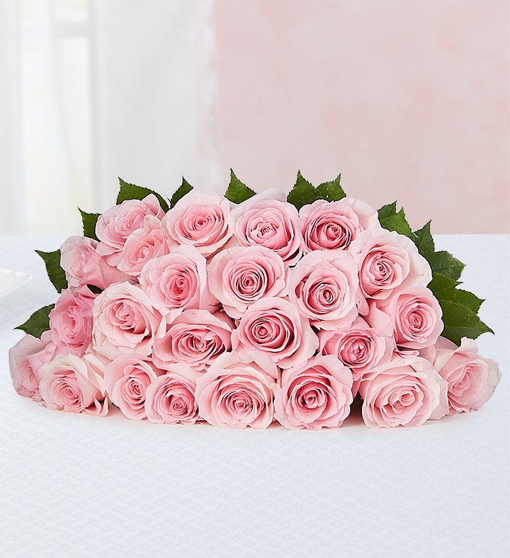 Rosas de Petalos Rosados