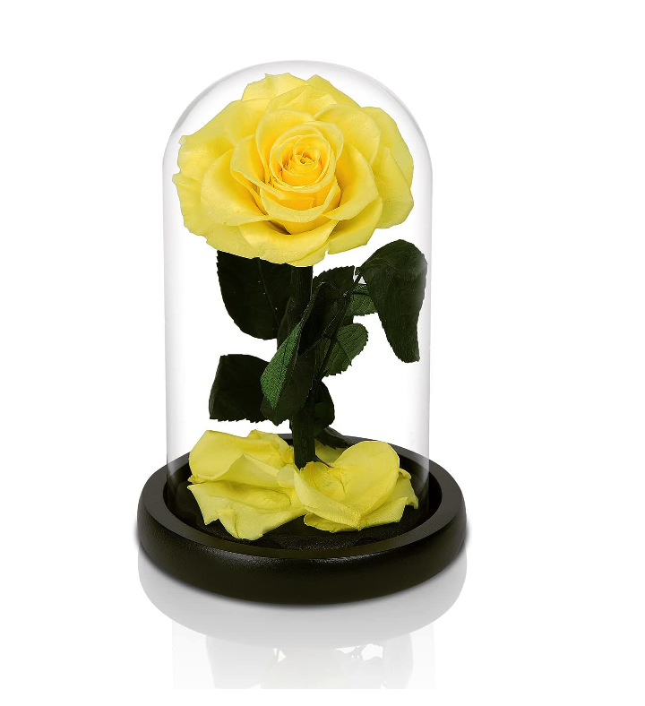Preserved Roses Yellow