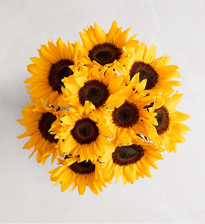 Girasoles en Florero