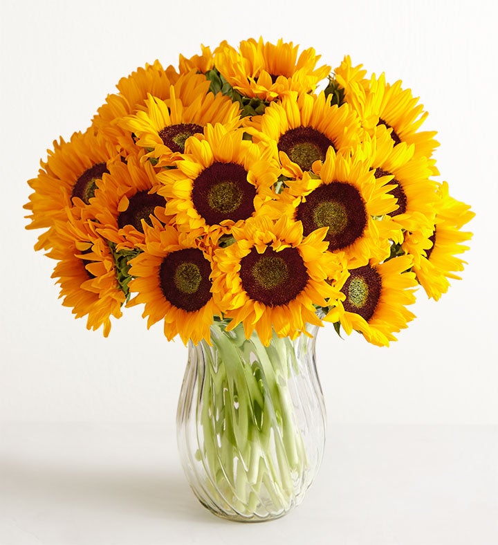 Girasoles en Florero