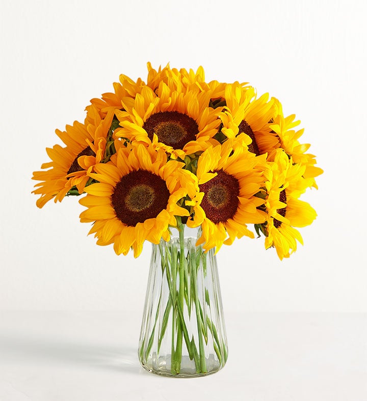 Girasoles en Florero
