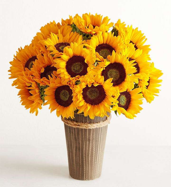 Girasoles en Florero