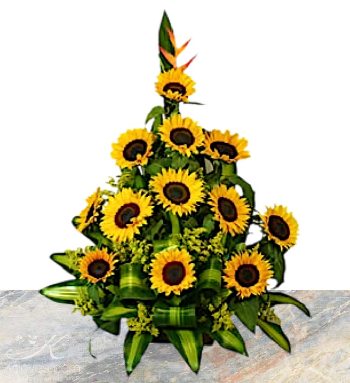 Tropical de girasoles