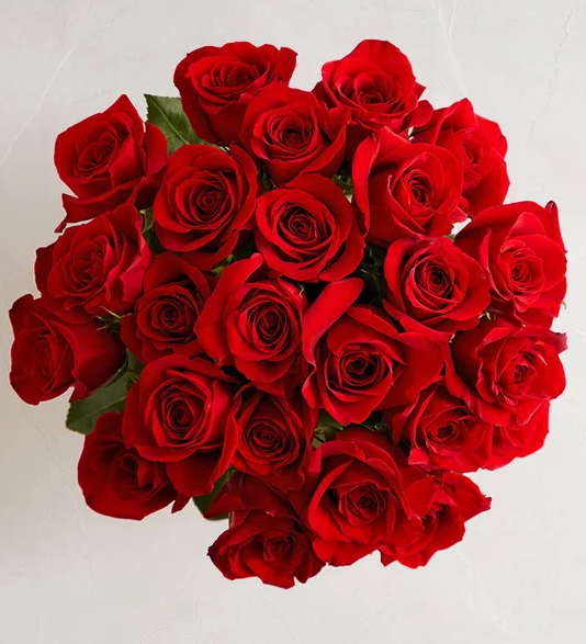 Deslumbran Su Día con 24 Rosas rojas