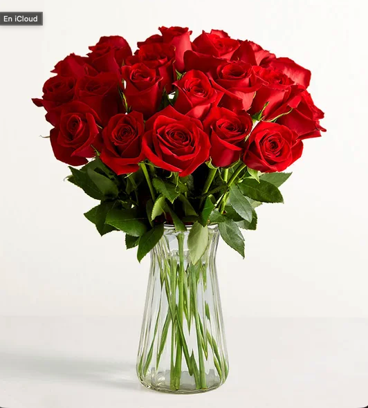 Deslumbran Su Día con 24 Rosas rojas