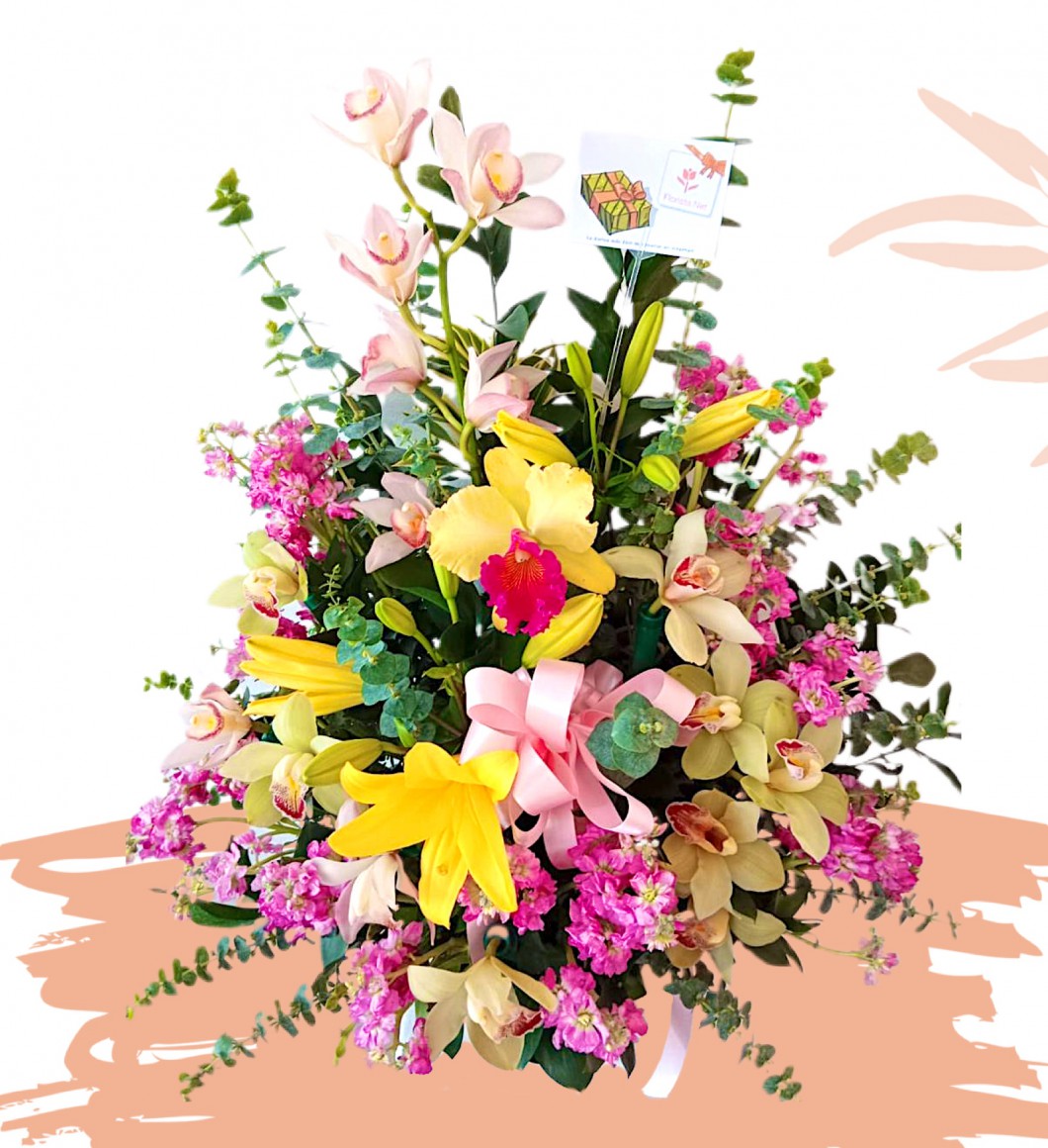 Variedad en Orquideas
