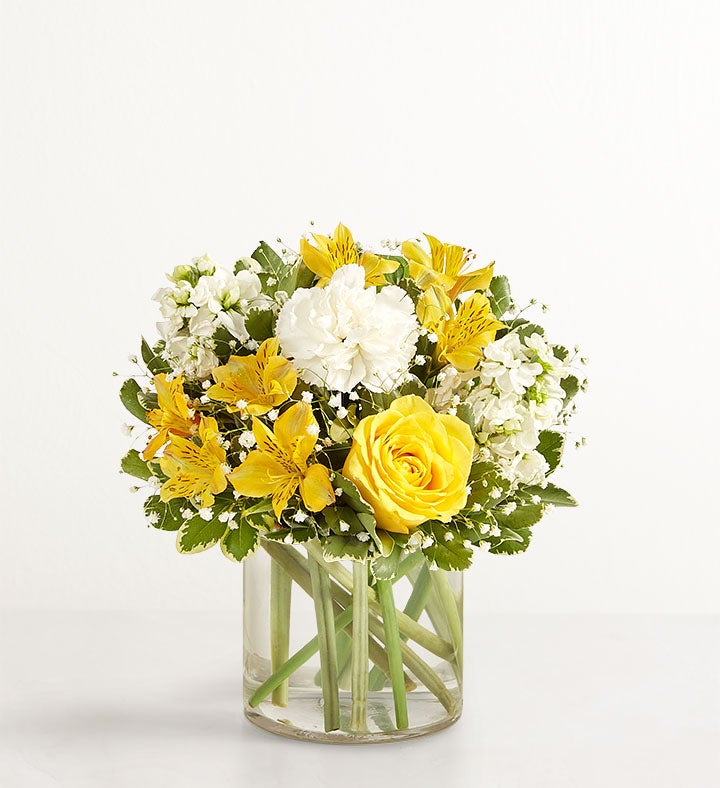 Delicado con Amarillo y blanco