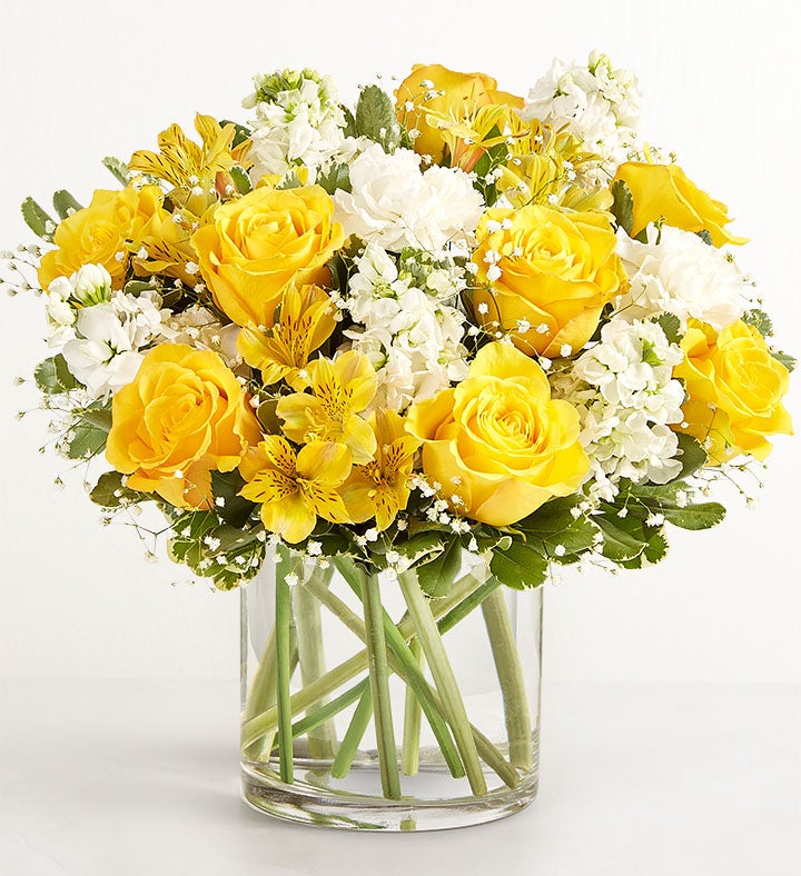 Delicado con Amarillo y blanco