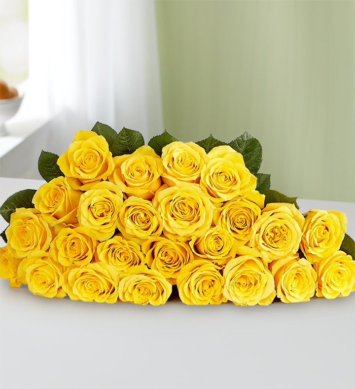 Rosas Amarillas 12–24 tallos