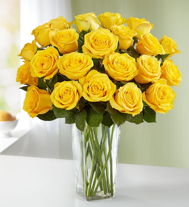 Rosas Amarillas 12–24 tallos